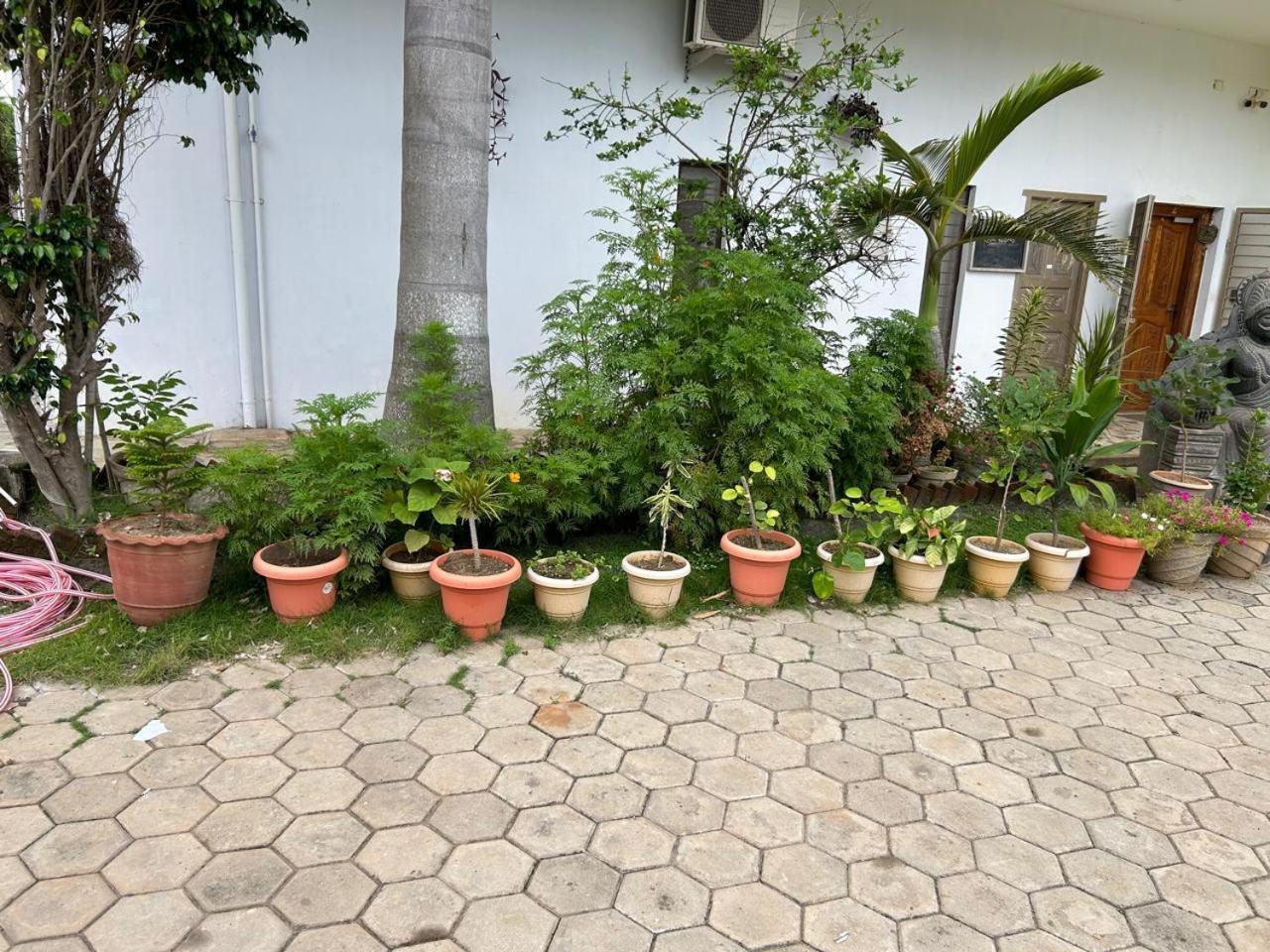 Blissful Haven Art House - Near Entrance To Auroville Exterior foto